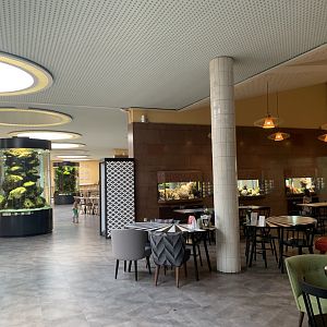 Patagonia restaurant