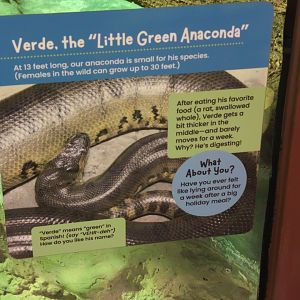 2024-07-09-vilas-anaconda-sign-01