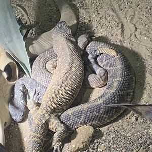 Too close for comfort?