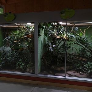 Reptile House: Terraria for Fiji iguana and plumed basilsk
