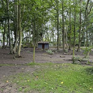 Wallaby / Emu / Mara Walkthrough Enclosure at Bridlington Animal Park (July 2024)