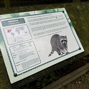 Raccoon Sign at Bridlington Animal Park (July 2024)