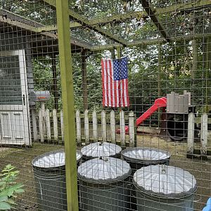 Raccoon Enclosure at Bridlington Animal Park (July 2024)