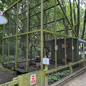 Brazilian Porcupine / Striped Skunk Enclosure at Bridlington Animal Park (July 2024)