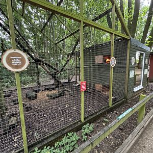 Brazilian Porcupine / Striped Skunk Enclosure at Bridlington Animal Park (July 2024)