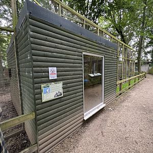 Ring-tailed Lemur Housing at Bridlington Animal Park (July 2024)