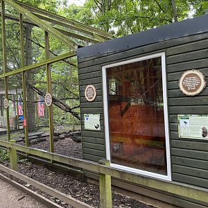 Brazilian Porcupine / Striped Skunk Enclosure at Bridlington Animal Park (July 2024)