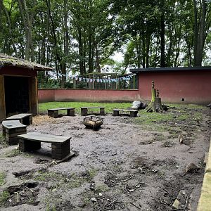 Meerkat / Porcupine at Bridlington Animal Park (July 2024)