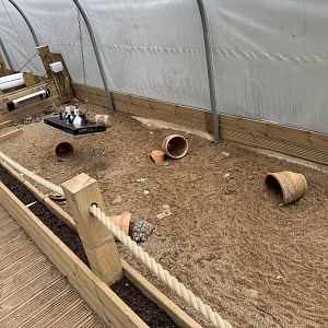 Mixed Tortoise Enclosure at Bridlington Animal Park (July 2024)