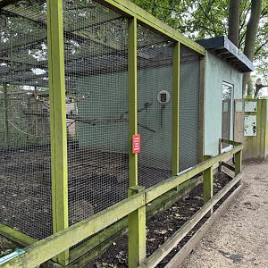 Armadillo / Marmoset Enclosure at Bridlington Animal Park (July 2024)