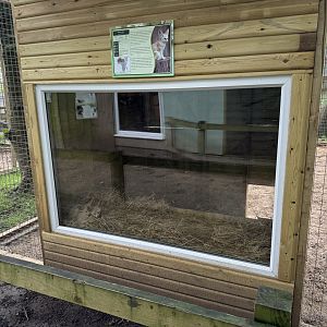 Fennec Fox House at Bridlington Animal Park (July 2024)