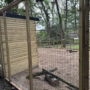 Fennec Fox Enclosure at Bridlington Animal Park (July 2024)