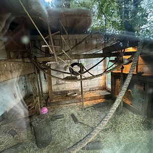 Armadillo / Marmoset Indoor Enclosure at Bridlington Animal Park (July 2024)