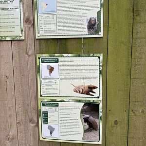 Armadillo / Marmoset Signage at Bridlington Animal Park (July 2024)