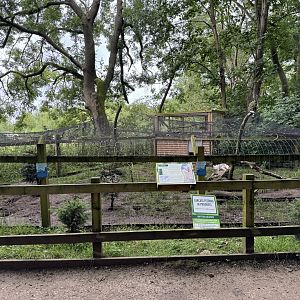 Arctic Fox Enclosure at Bridlington Animal Park (July 2024)