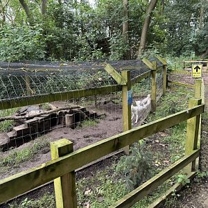 Arctic Fox Enclosure at Bridlington Animal Park (July 2024)