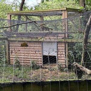 Arctic Fox Housing at Bridlington Animal Park (July 2024)