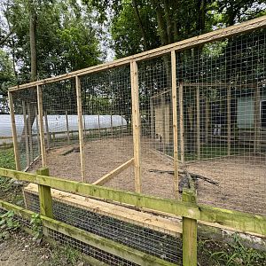 Fennec Fox Enclosure at Bridlington Animal Park (July 2024)