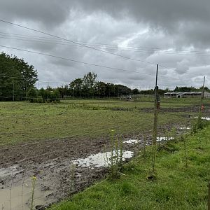 Ostrich / Zebra Enclosure at Bridlington Animal Park (July 2024)