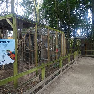 Parrot aviaries, 16th October 2023