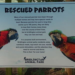 Parrot signage, 16th October 2023