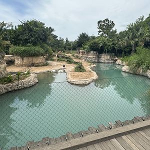 South America's Pantanal (7/3/24)