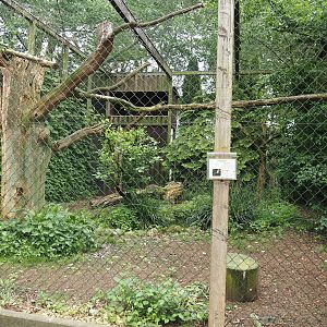 Andean condor aviary, 2024-05-21