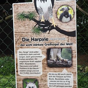 Harpy eagle signage, 2024-05-21