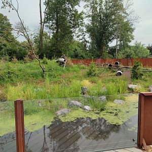 Churchill - raccoon enclosure