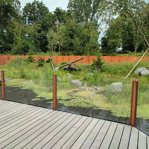 Churchill - raccoon enclosure