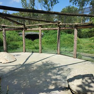 Churchill - polar bears, first enclosure