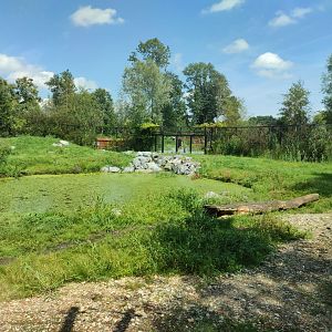 Churchill - polar bears, first enclosure