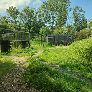Churchill - polar bears, indoor enclosures