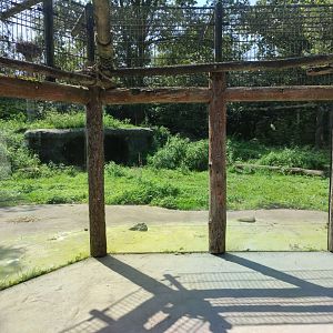 Churchill - polar bears, second enclosure