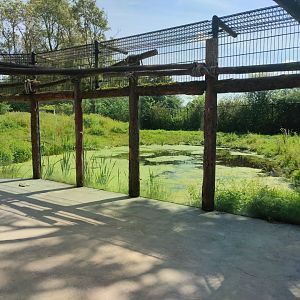 Churchill - polar bears, second enclosure