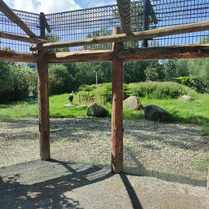 Churchill - polar bears, second enclosure