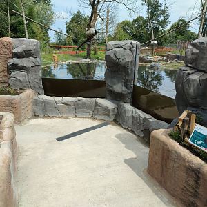 Churchill - North American beaver & North American porcupine enclosure, underwater viewing