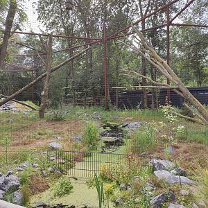 Churchill - bald eagle and raven aviary