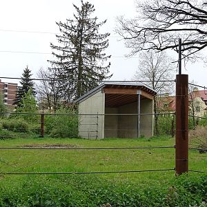 Enclosure for elephants