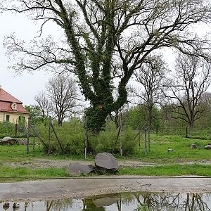 Enclosure for elephants