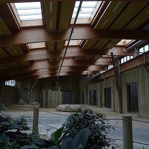 Elephant House: elephant indoor enclosure