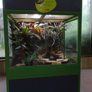 Elephant House: chinese water dragon enclosure