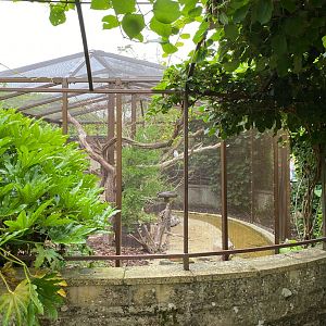 Updated aviary, CWP, UK