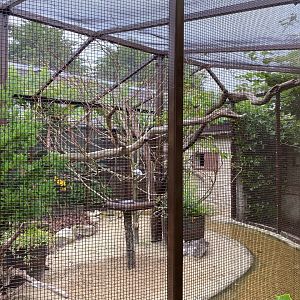 Updated aviary, CWP, UK