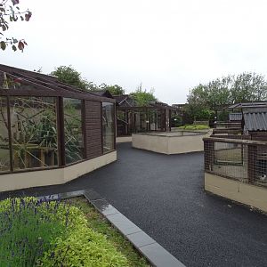 Central area of park looking northwards, 1st July 2024