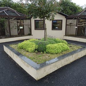 Amazon aviary (left) and Macaw aviary (right), 1st July 2024