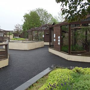 Another southwards view in the central area of the park, 1st July 2024