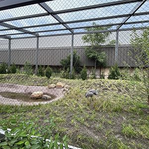 North American Prairie Aviary