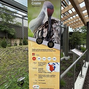 Sandhill Crane Signage