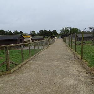 Looking southwards from the paddocks area of the park, 1st July 2024